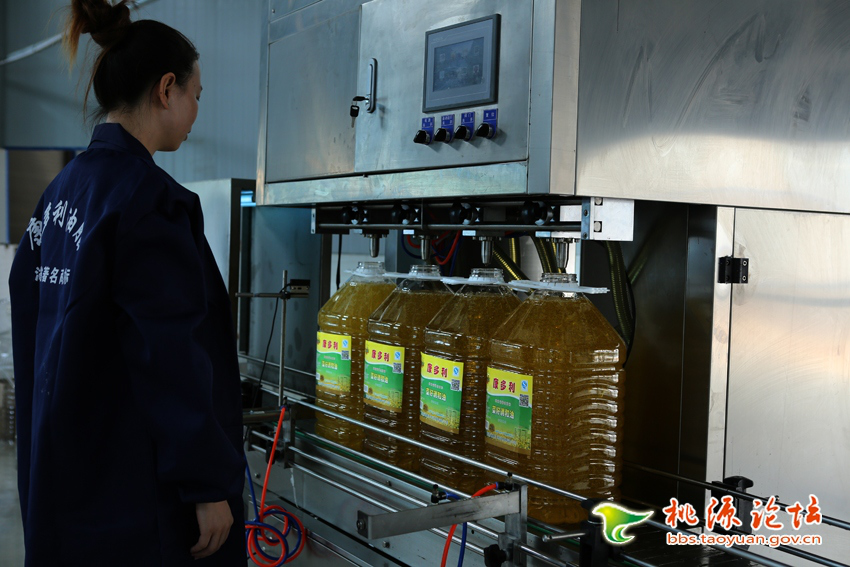 J9集团,油茶种植出产加工销售,植物油种植出产加工销售