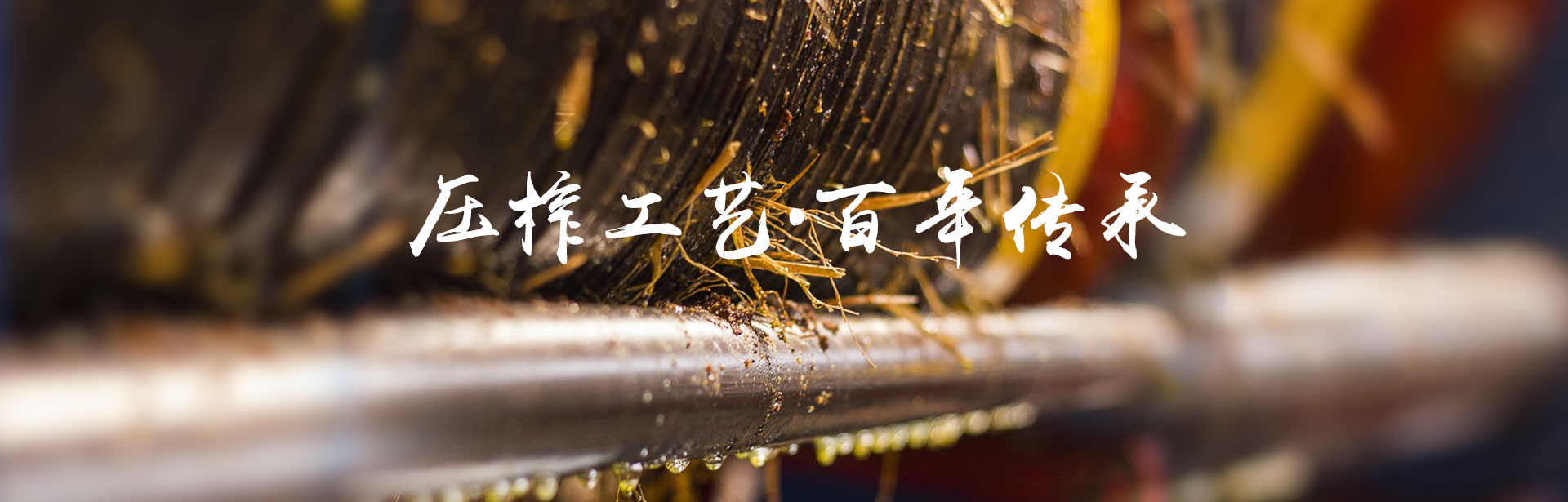 J9集团_油茶种植出产加工销售|植物油种植出产加工销售