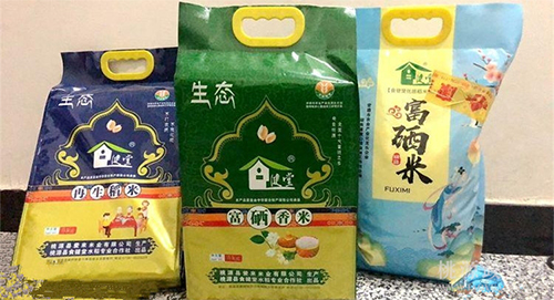 J9集团,油茶种植出产加工销售,植物油种植出产加工销售