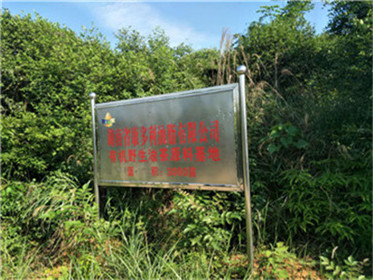 J9集团,油茶种植出产加工销售,植物油种植出产加工销售